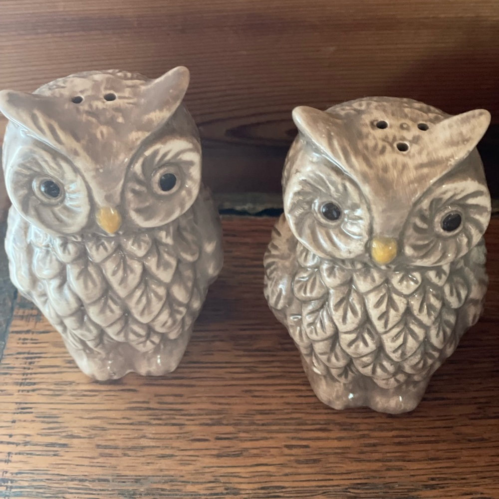 Rare Vintage Owl Salt and Pepper Shakers